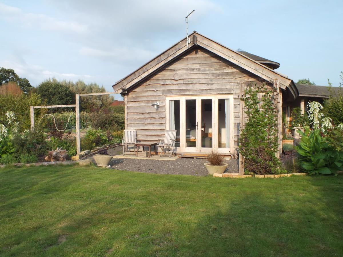 Three Oaks Nursery Chichester Kültér fotó