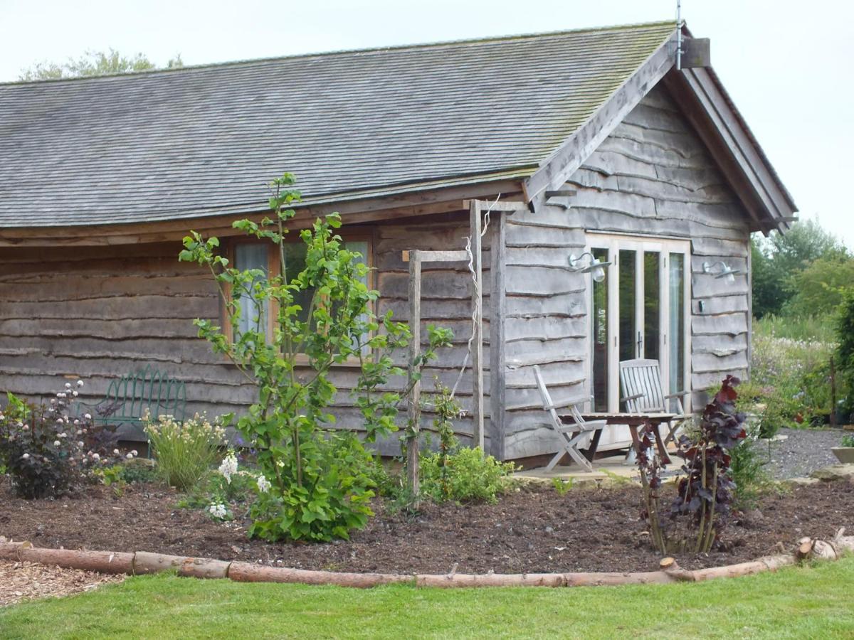 Three Oaks Nursery Chichester Kültér fotó