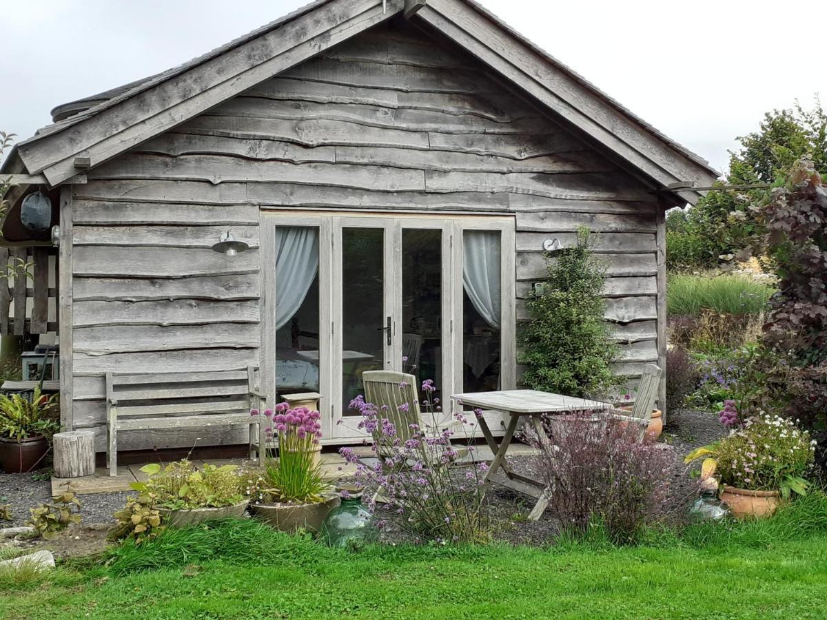 Three Oaks Nursery Chichester Kültér fotó
