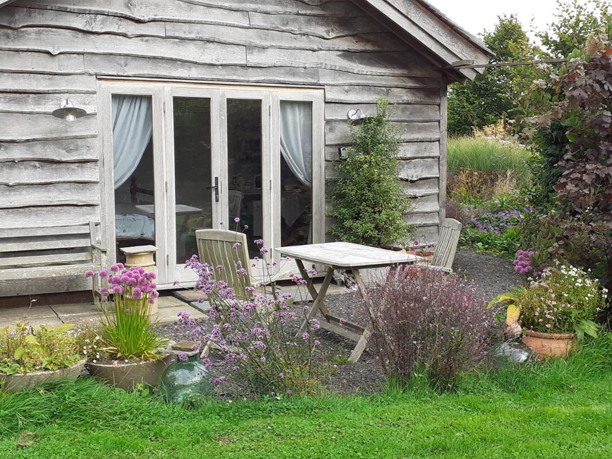 Three Oaks Nursery Chichester Kültér fotó